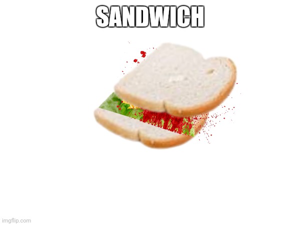 Exploded sandwich | SANDWICH | image tagged in make me a sandwich | made w/ Imgflip meme maker