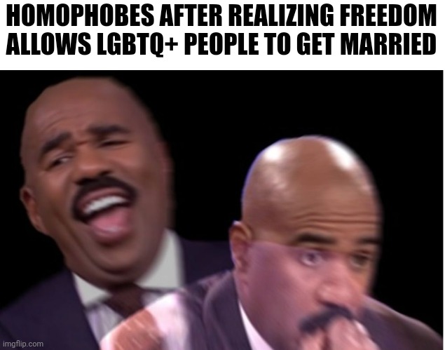 Conflicted Steve Harvey | HOMOPHOBES AFTER REALIZING FREEDOM ALLOWS LGBTQ+ PEOPLE TO GET MARRIED | image tagged in conflicted steve harvey,homophobia,freedom,lgbtq,homophobic,homosexuality | made w/ Imgflip meme maker