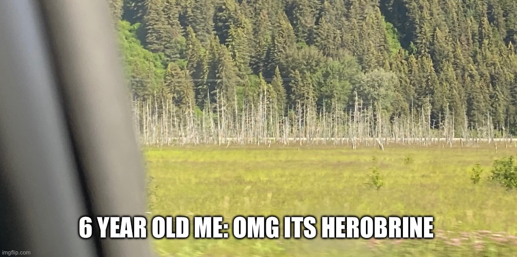 6 YEAR OLD ME: OMG ITS HEROBRINE | made w/ Imgflip meme maker