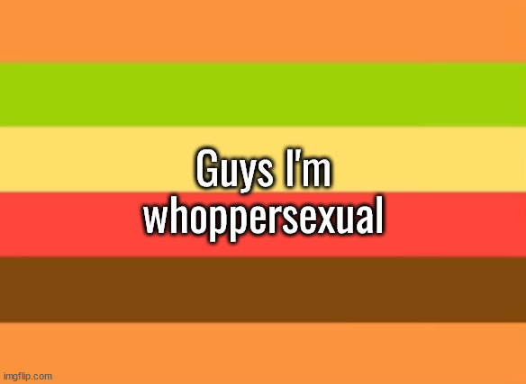 This is quite obviously a joke | Guys I'm whoppersexual | image tagged in whoppersexual flag | made w/ Imgflip meme maker