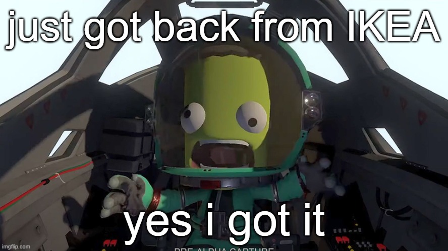 BLÅHAJ my beloved | just got back from IKEA; yes i got it | image tagged in kerbal panic | made w/ Imgflip meme maker