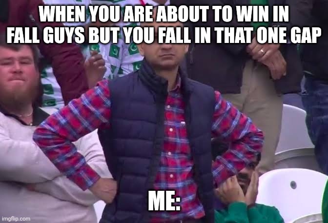 Fall guys | WHEN YOU ARE ABOUT TO WIN IN FALL GUYS BUT YOU FALL IN THAT ONE GAP; ME: | image tagged in disappointed man,fall guys | made w/ Imgflip meme maker