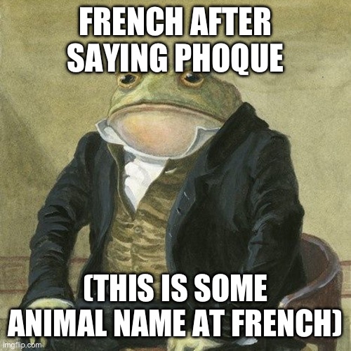 Gentlemen, it is with great pleasure to inform you that | FRENCH AFTER SAYING PHOQUE; (THIS IS SOME ANIMAL NAME AT FRENCH) | image tagged in gentlemen it is with great pleasure to inform you that | made w/ Imgflip meme maker