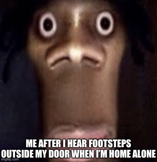 Quandale dingle | ME AFTER I HEAR FOOTSTEPS OUTSIDE MY DOOR WHEN I’M HOME ALONE | image tagged in quandale dingle | made w/ Imgflip meme maker