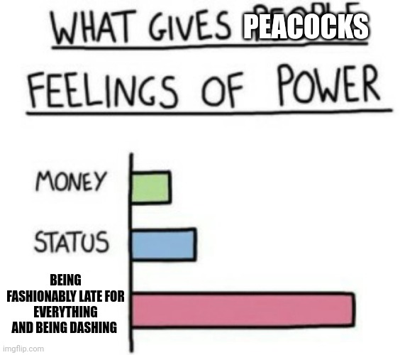 What gives peacocks feelings of power | PEACOCKS; BEING FASHIONABLY LATE FOR EVERYTHING AND BEING DASHING | image tagged in what gives people feelings of power | made w/ Imgflip meme maker