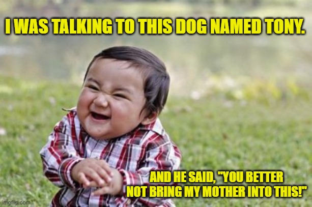 Evil Toddler | I WAS TALKING TO THIS DOG NAMED TONY. AND HE SAID, "YOU BETTER NOT BRING MY MOTHER INTO THIS!" | image tagged in memes,evil toddler | made w/ Imgflip meme maker