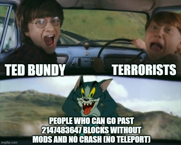 Tom chasing Harry and Ron Weasly | TERRORISTS; TED BUNDY; PEOPLE WHO CAN GO PAST 2147483647 BLOCKS WITHOUT MODS AND NO CRASH (NO TELEPORT) | image tagged in tom chasing harry and ron weasly | made w/ Imgflip meme maker