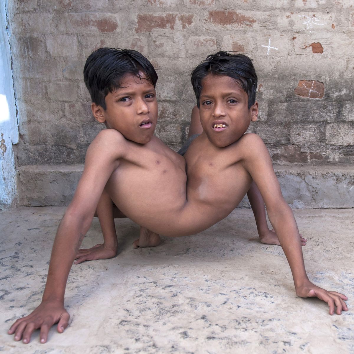 High Quality Beautiful Indian Twins Blank Meme Template