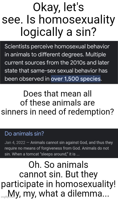 :/ | Okay, let's see. Is homosexuality logically a sin? Does that mean all of these animals are sinners in need of redemption? Oh. So animals cannot sin. But they participate in homosexuality! My, my, what a dilemma... | image tagged in blank white template | made w/ Imgflip meme maker