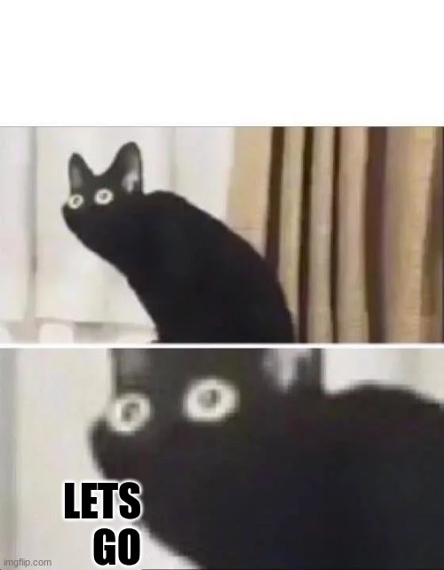 Oh No Black Cat | LETS GO | image tagged in oh no black cat | made w/ Imgflip meme maker
