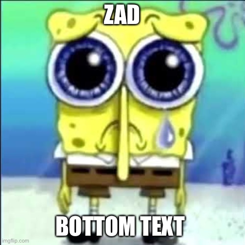 Sad Spongebob | ZAD; BOTTOM TEXT | image tagged in sad spongebob | made w/ Imgflip meme maker