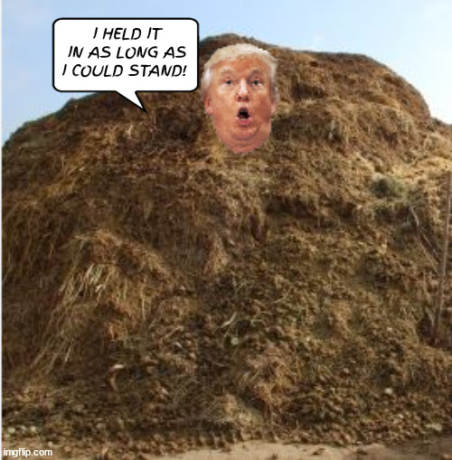 Trump dumps | I HELD IT IN AS LONG AS I COULD STAND! | image tagged in pile of poop,trump's watwerloo,wet diapers,neck deep,more shit | made w/ Imgflip meme maker