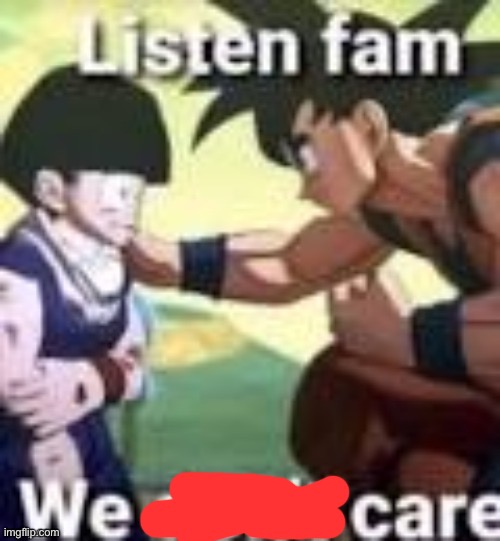 Listen fam we dont care | image tagged in listen fam we dont care | made w/ Imgflip meme maker