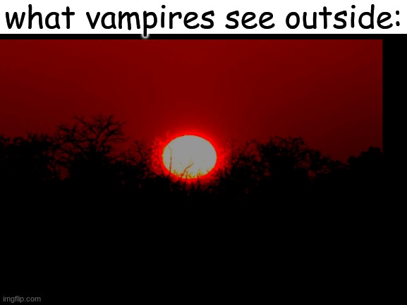 what vampires see outside | what vampires see outside: | image tagged in blank white template | made w/ Imgflip meme maker