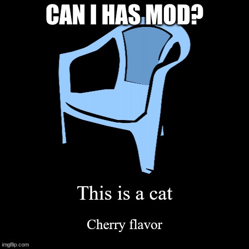 This is a cat | CAN I HAS MOD? | image tagged in this is a cat | made w/ Imgflip meme maker