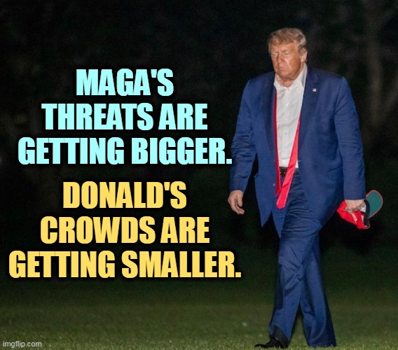 Is there a connection? | MAGA'S THREATS ARE GETTING BIGGER. DONALD'S CROWDS ARE GETTING SMALLER. | image tagged in sad man trump,maga,trump,threats,crowd,loser | made w/ Imgflip meme maker