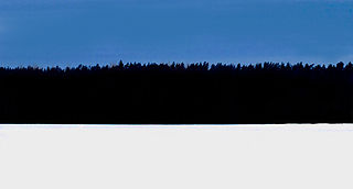 Estonian Flag in Nature Blank Meme Template