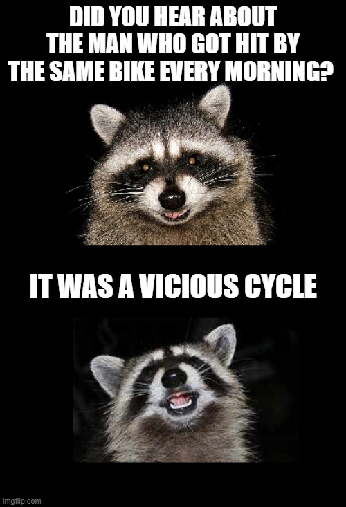 Groaner Alert | DID YOU HEAR ABOUT THE MAN WHO GOT HIT BY THE SAME BIKE EVERY MORNING? IT WAS A VICIOUS CYCLE | image tagged in corny joke,cheesy joke,raccoon joke,raccoon meme | made w/ Imgflip meme maker