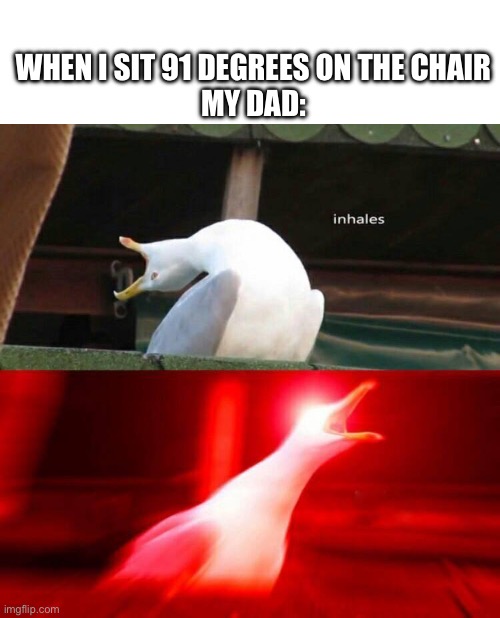 Comment relatable and upvote | WHEN I SIT 91 DEGREES ON THE CHAIR
MY DAD: | image tagged in inhaling seagull | made w/ Imgflip meme maker