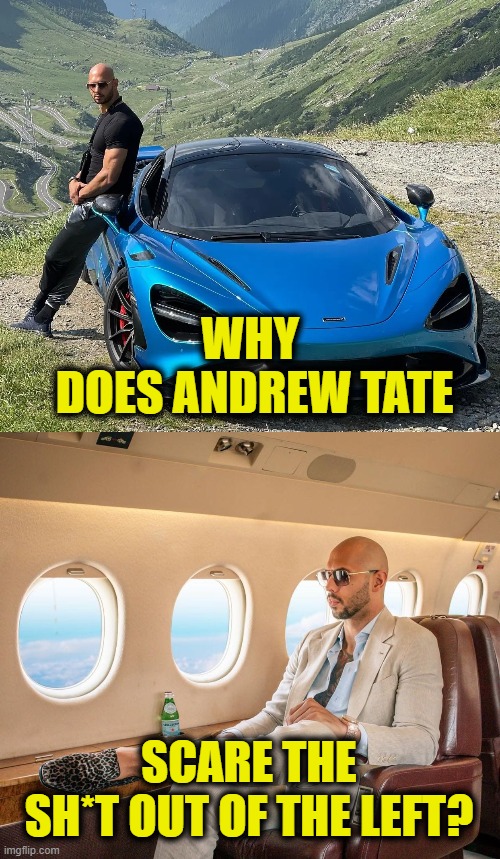 Every Snowflake's Nightmare | WHY
 DOES ANDREW TATE; SCARE THE
SH*T OUT OF THE LEFT? | image tagged in andrew tate | made w/ Imgflip meme maker