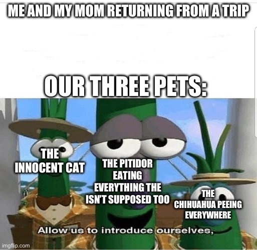 Spotless when my mom left, mess when she returned | ME AND MY MOM RETURNING FROM A TRIP; OUR THREE PETS:; THE INNOCENT CAT; THE PITIDOR EATING EVERYTHING THE ISN’T SUPPOSED TOO; THE CHIHUAHUA PEEING EVERYWHERE | image tagged in allow us to introduce ourselves | made w/ Imgflip meme maker