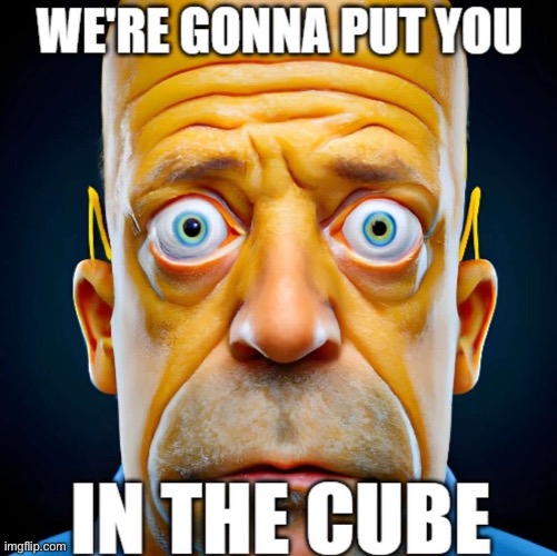 We’re gonna put you in the cube | image tagged in we re gonna put you in the cube | made w/ Imgflip meme maker