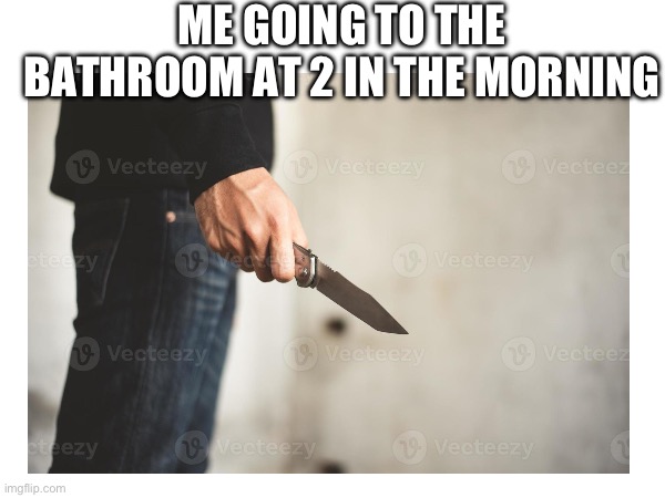 Man holding knife | ME GOING TO THE BATHROOM AT 2 IN THE MORNING | image tagged in knife | made w/ Imgflip meme maker