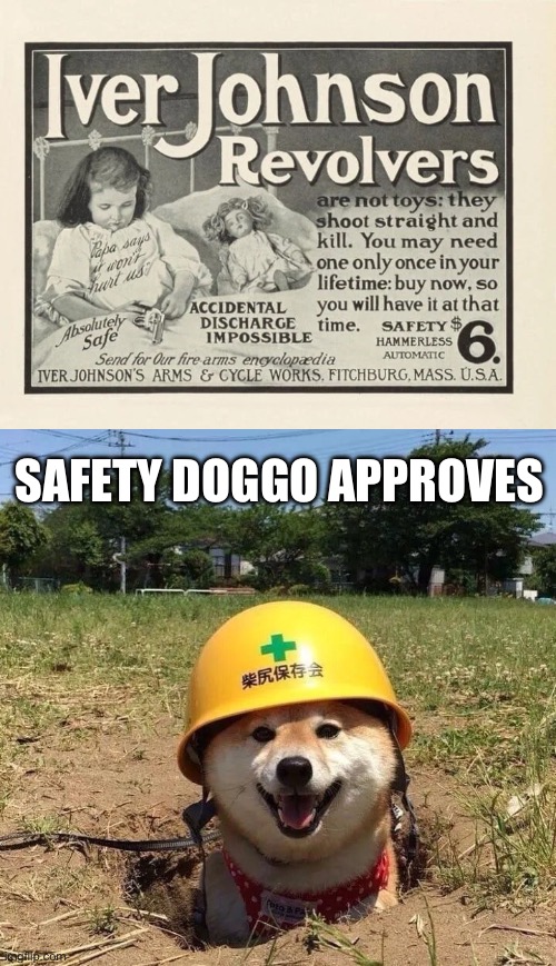 Safety revolver | SAFETY DOGGO APPROVES | image tagged in safety doggo,guns,safety | made w/ Imgflip meme maker