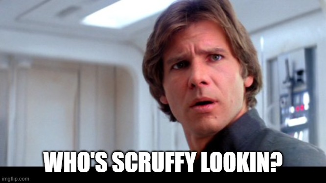 scruffy looking Han Solo | WHO'S SCRUFFY LOOKIN? | image tagged in scruffy looking han solo | made w/ Imgflip meme maker