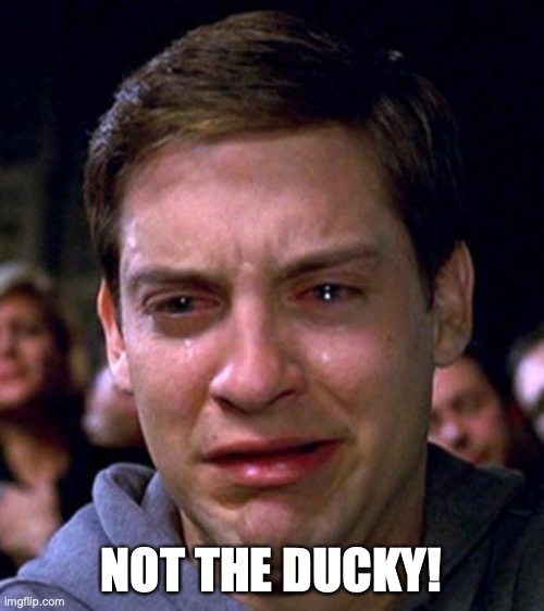 crying peter parker | NOT THE DUCKY! | image tagged in crying peter parker | made w/ Imgflip meme maker