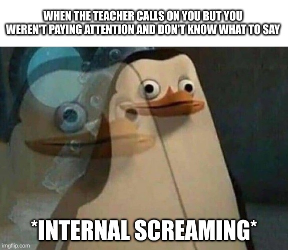 panic attack | WHEN THE TEACHER CALLS ON YOU BUT YOU WEREN'T PAYING ATTENTION AND DON'T KNOW WHAT TO SAY; *INTERNAL SCREAMING* | image tagged in the penguins of madagascar,funny,memes,funny memes | made w/ Imgflip meme maker