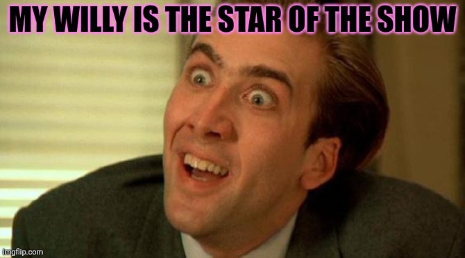 Nicolas Cage | MY WILLY IS THE STAR OF THE SHOW | image tagged in nicolas cage | made w/ Imgflip meme maker