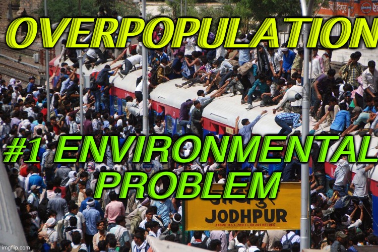 OVERPOPULATION | OVERPOPULATION; #1 ENVIRONMENTAL PROBLEM | image tagged in overpopulation | made w/ Imgflip meme maker
