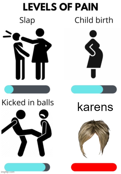 Levels of Pain | karens | image tagged in levels of pain | made w/ Imgflip meme maker