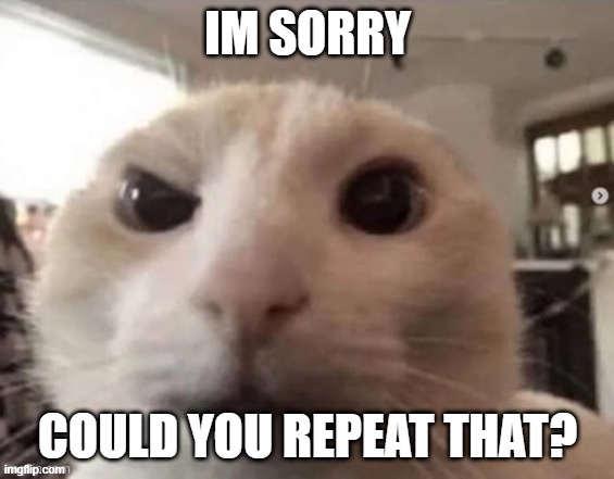 IM SORRY COULD YOU REPEAT THAT? | made w/ Imgflip meme maker