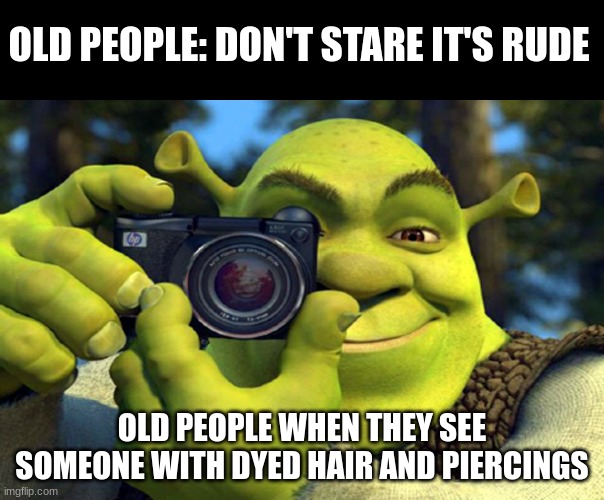 old people be like | OLD PEOPLE: DON'T STARE IT'S RUDE; OLD PEOPLE WHEN THEY SEE SOMEONE WITH DYED HAIR AND PIERCINGS | image tagged in shrek camera,memes,funny,old people be like | made w/ Imgflip meme maker