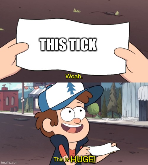 This is Worthless | THIS TICK HUGE! | image tagged in this is worthless | made w/ Imgflip meme maker