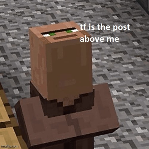 tf is the post above me minecraft villager | image tagged in minecraft,minecraft memes,minecraft villagers,minecraft villager looking up | made w/ Imgflip meme maker