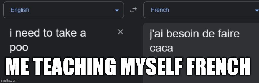 ME TEACHING MYSELF FRENCH | image tagged in french,funny meme | made w/ Imgflip meme maker