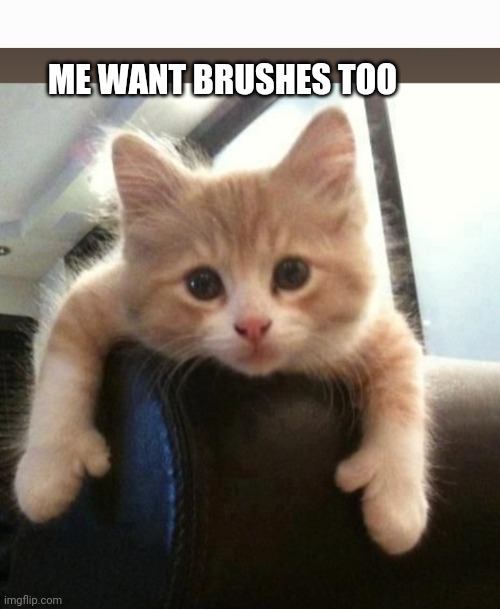 ME WANT BRUSHES TOO | made w/ Imgflip meme maker