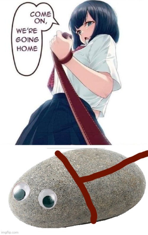 Inspired by this: https://imgflip.com/i/7opqi2?nerp=1691432783#com26962687 (credit to AquariusFromYouTube for the idea) | image tagged in pet rock,anime | made w/ Imgflip meme maker