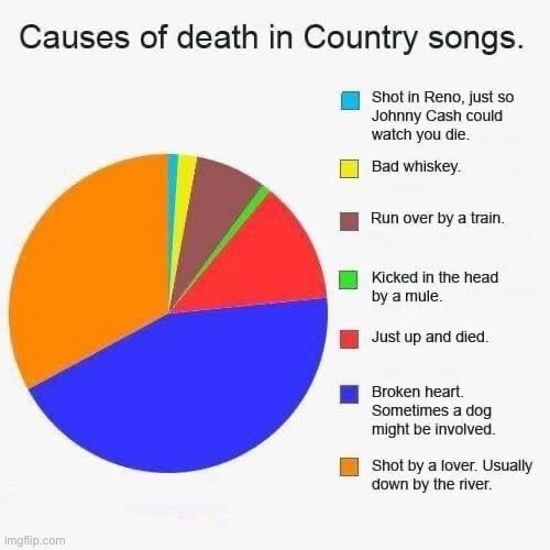 Death in country music is never sad | image tagged in country music,death,whiskey,shot,broken heart | made w/ Imgflip meme maker