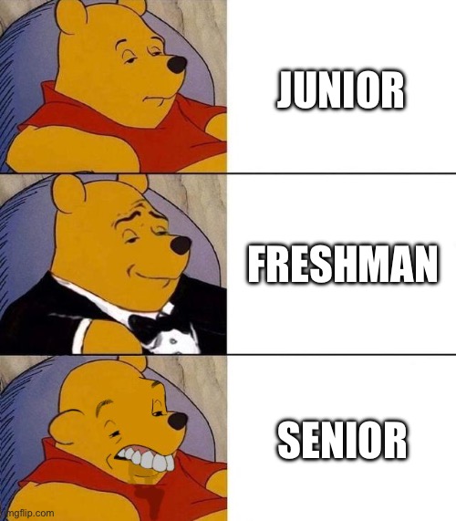 Types of high school students | JUNIOR; FRESHMAN; SENIOR | image tagged in best better blurst | made w/ Imgflip meme maker