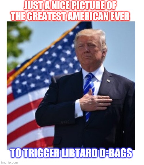 TRIGGERED | JUST A NICE PICTURE OF THE GREATEST AMERICAN EVER; TO TRIGGER LIBTARD D-BAGS | image tagged in libtards,finished,vote,president trump,republicans,rule | made w/ Imgflip meme maker