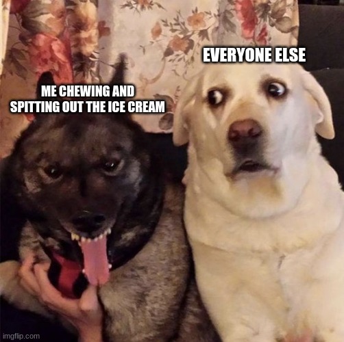 ME CHEWING AND SPITTING OUT THE ICE CREAM EVERYONE ELSE | image tagged in angry dog scared dog | made w/ Imgflip meme maker