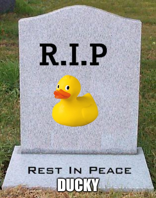 RIP headstone | DUCKY | image tagged in rip headstone | made w/ Imgflip meme maker