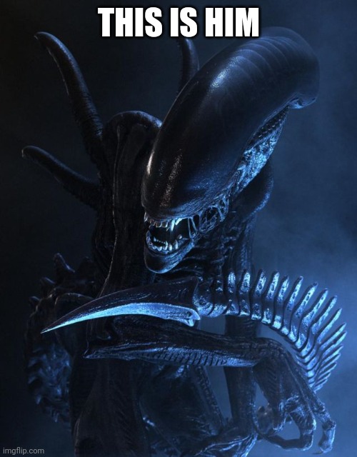 Alien Xenomorph | THIS IS HIM | image tagged in alien xenomorph | made w/ Imgflip meme maker