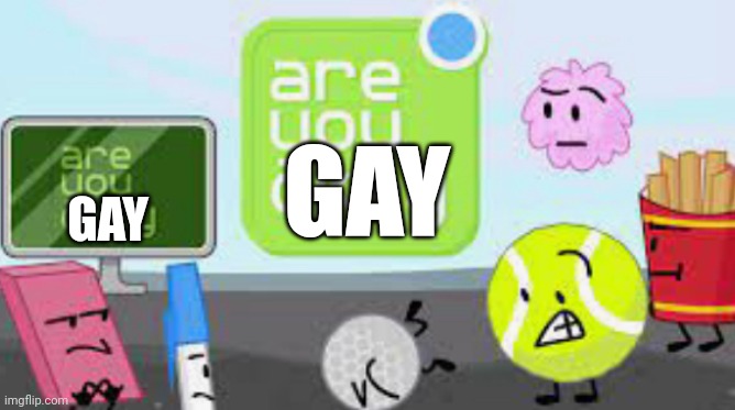 are you okay | GAY GAY | image tagged in are you okay | made w/ Imgflip meme maker