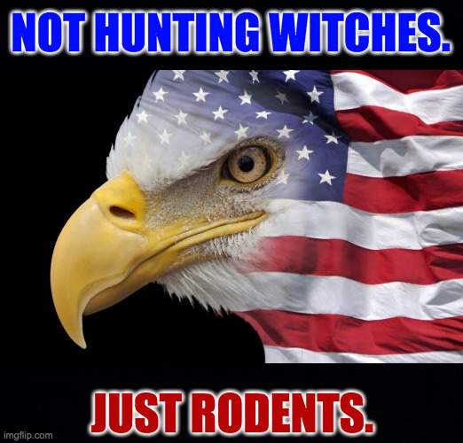 You can't eat 'em but they're great as fertilizer. | NOT HUNTING WITCHES. JUST RODENTS. | image tagged in memes,bald eagle,rodents | made w/ Imgflip meme maker