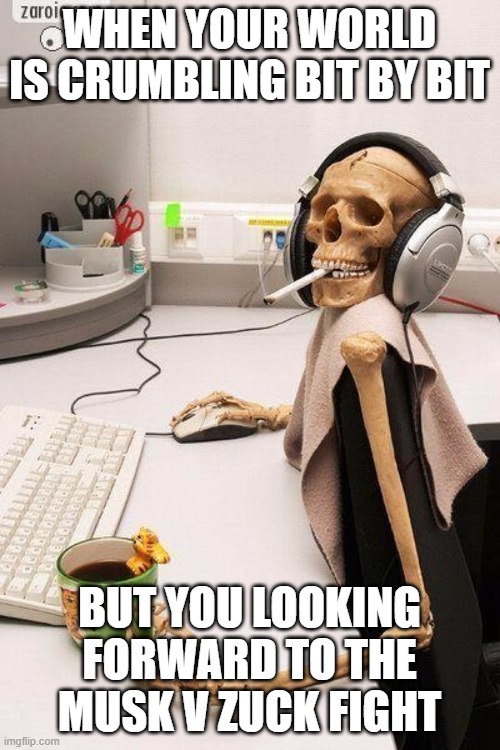 Hey, gotta enjoy something | WHEN YOUR WORLD IS CRUMBLING BIT BY BIT; BUT YOU LOOKING FORWARD TO THE MUSK V ZUCK FIGHT | image tagged in hyped-up skeleton at desk | made w/ Imgflip meme maker